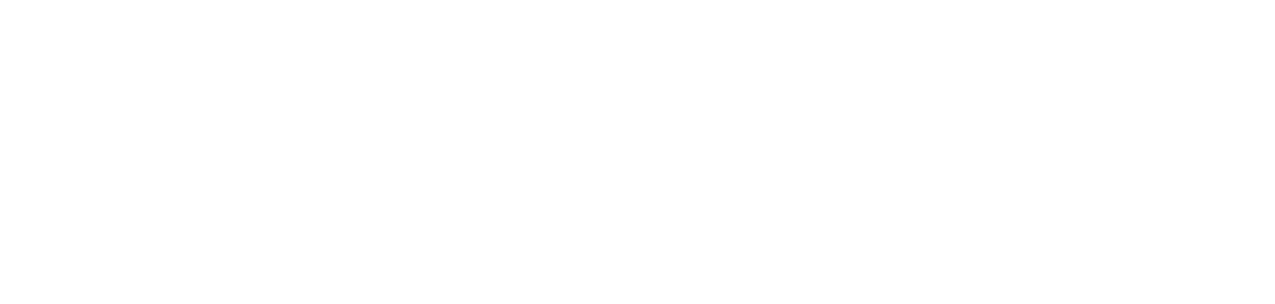 Logo - Budget (White)