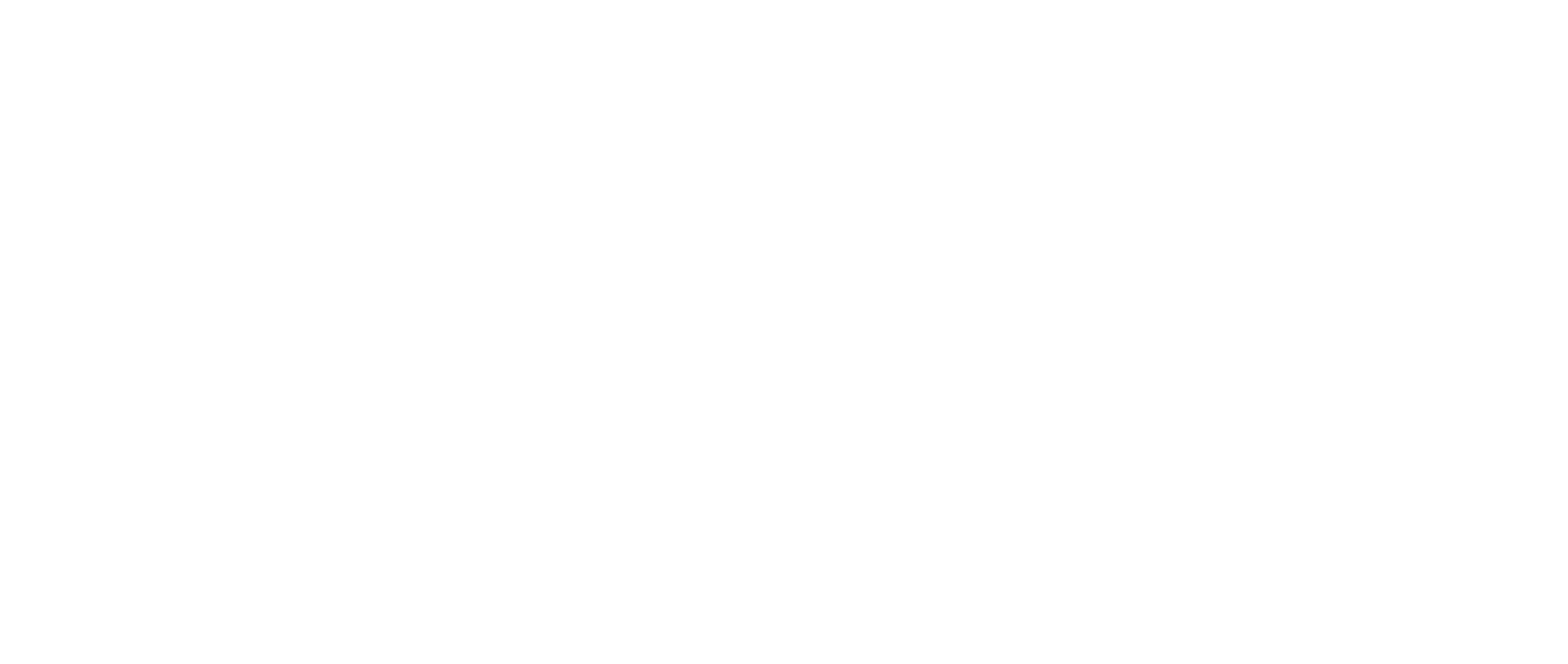Logo - Turo (White)